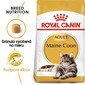 ROYAL CANIN Maine Coon Adult 10kg granule pre dospelé mainské mývalie mačky