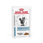 Veterinary Health Nutrition Cat Skin & Coat Pouch 12 x 85 g