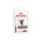 ROYAL CANIN Veterinary Diet Cat Gastrointestinal Pouch 85g x12