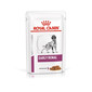 ROYAL CANIN Veterinary Diet Dog Early Renal Wet 12 x 100g